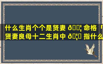 什么生肖个个是贤妻 🐦 命格「贤妻良母十二生肖中 🦁 指什么动物 视频」